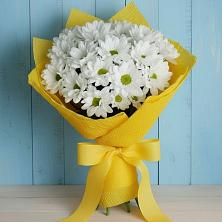 Букет цветов из:  Хризантемы в Агалатово