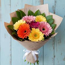 Букет цветов из:  Герберы в Агалатово