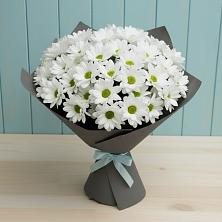 Букет цветов из:  Хризантемы в Агалатово