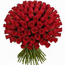 Букет Красные розы Чери Лав в Агалатово